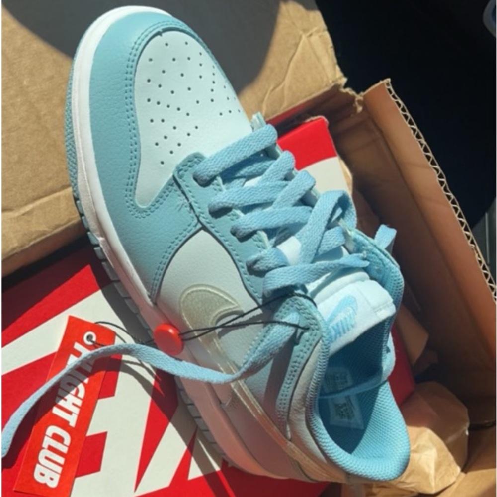 BRAND NEW NIKE LOW DUNKS! BEAUTIFUL AQUA COLOR!